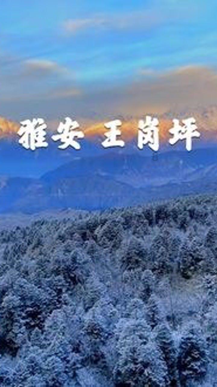 探秘功夫巨星赵文卓曾经红极一时,为何他现在却无戏可拍?,发现不一样的世界