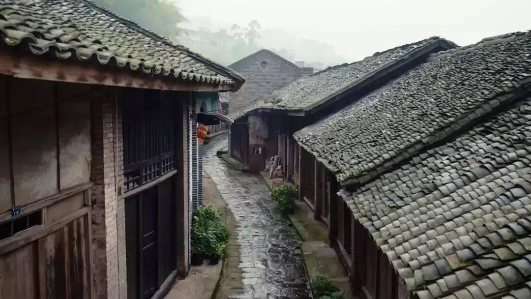 隐藏的间谍